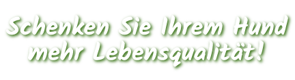 Schenken Sie ihrem Hund mehr Lebensqualität